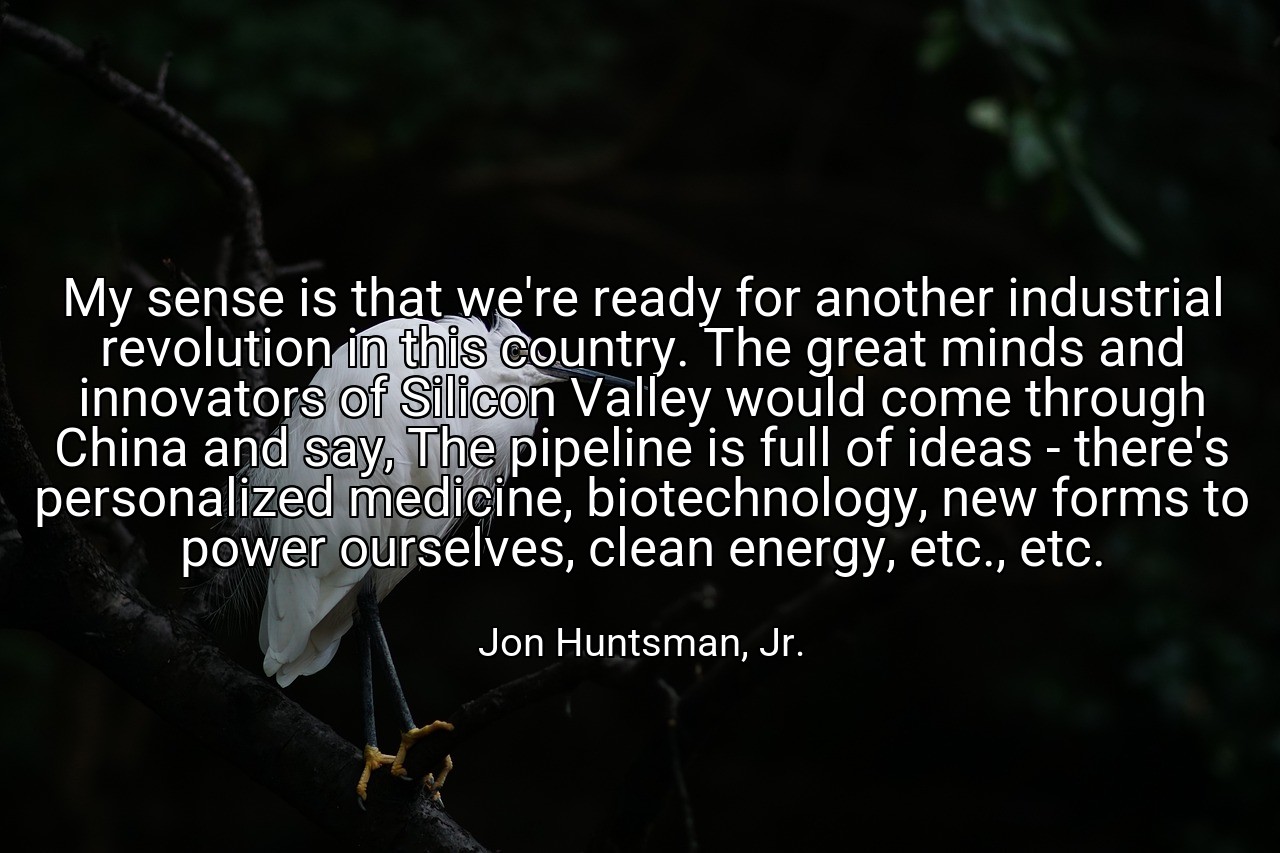 My sense is that we're ready for another industrial revolution in this country. The great minds and innovators of Silicon Valley would come through China and say, The pipeline is full of ideas - there's personalized medicine, biotechnology, new forms to power ourselves, clean energy, etc., etc. - Jon Huntsman, Jr.
