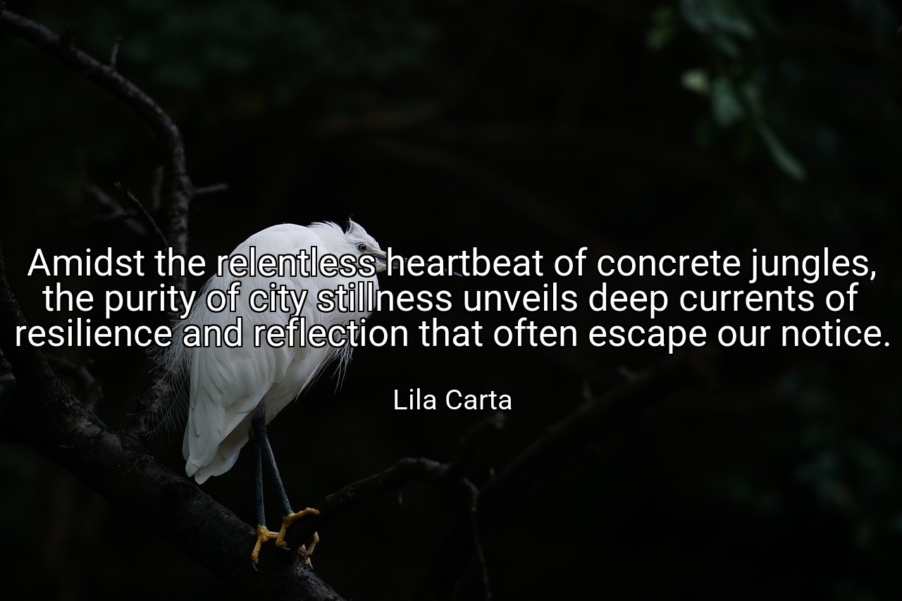 Amidst the relentless heartbeat of concrete jungles, the purity of city stillness unveils deep currents of resilience and reflection that often escape our notice. - Lila Carta