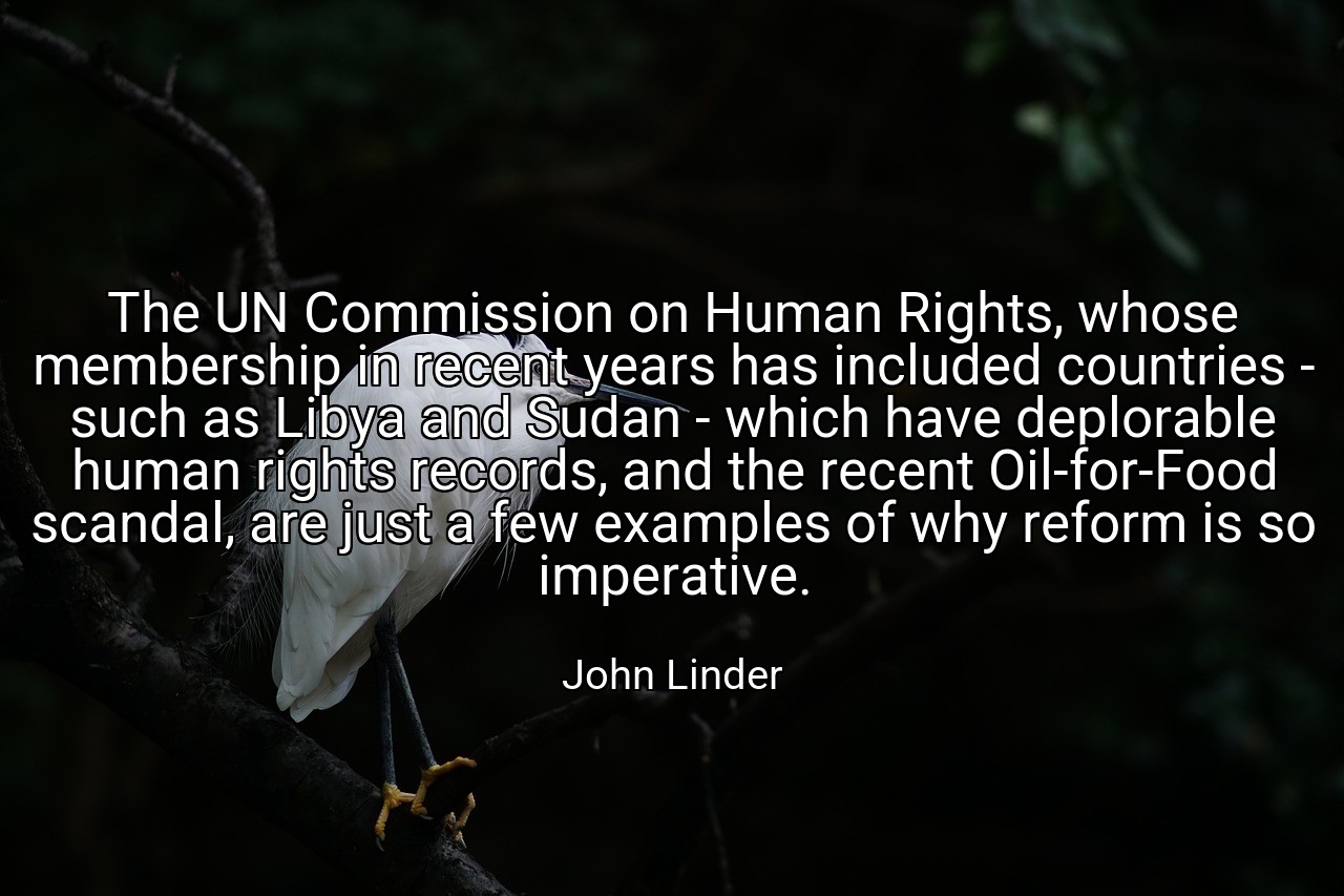 The UN Commission on Human Rights, whose membership in recent years has included countries - such as Libya and Sudan - which have deplorable human rights records, and the recent Oil-for-Food scandal, are just a few examples of why reform is so imperative. - John Linder