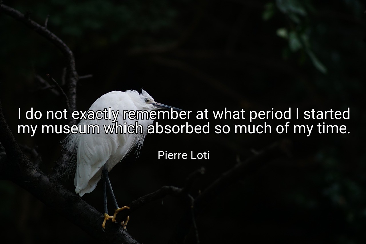 I do not exactly remember at what period I started my museum which absorbed so much of my time. - Pierre Loti