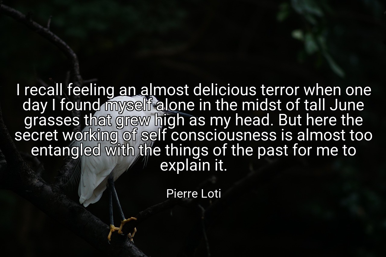 I recall feeling an almost delicious terror when one day I found myself alone in the midst of tall June grasses that grew high as my head. But here the secret working of self consciousness is almost too entangled with the things of the past for me to explain it. - Pierre Loti