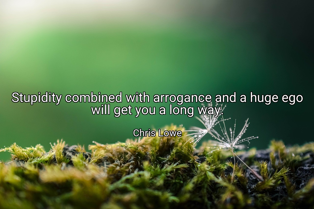 Stupidity combined with arrogance and a huge ego will get you a long way. - Chris Lowe