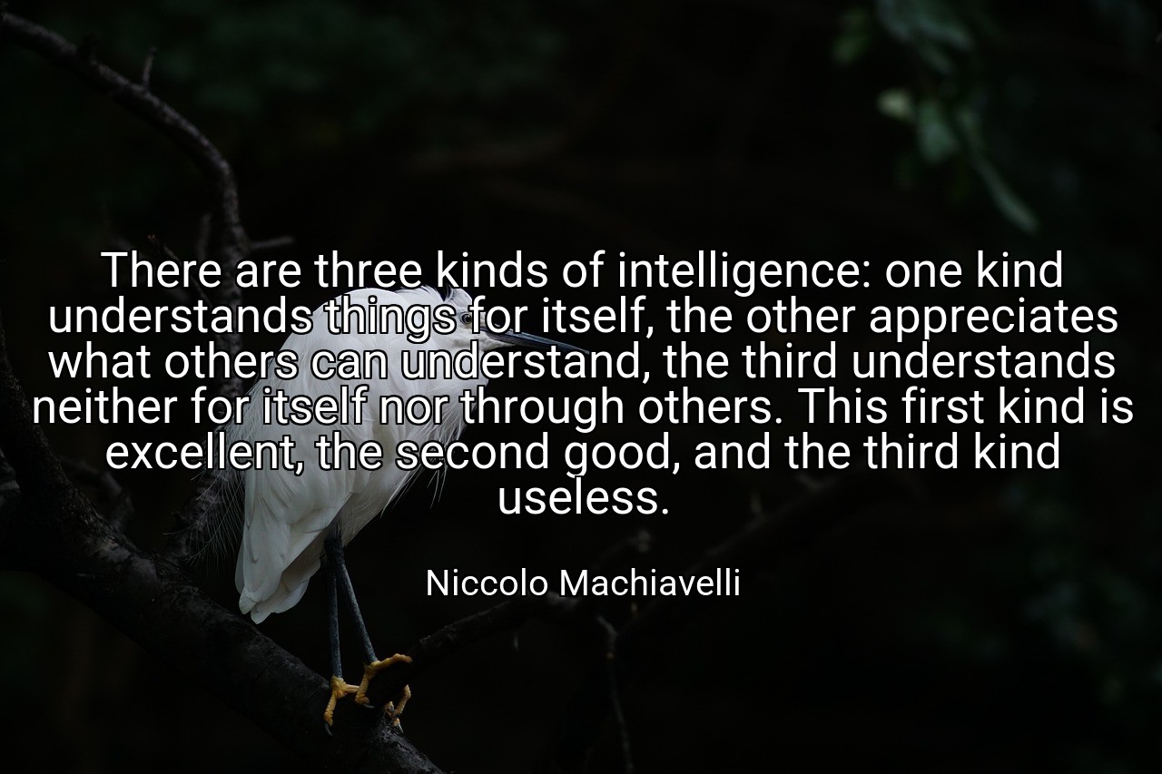 There are three kinds of intelligence: one kind understands things for itself, the other appreciates what others can understand, the third understands neither for itself nor through others. This first kind is excellent, the second good, and the third kind useless. - Niccolo Machiavelli