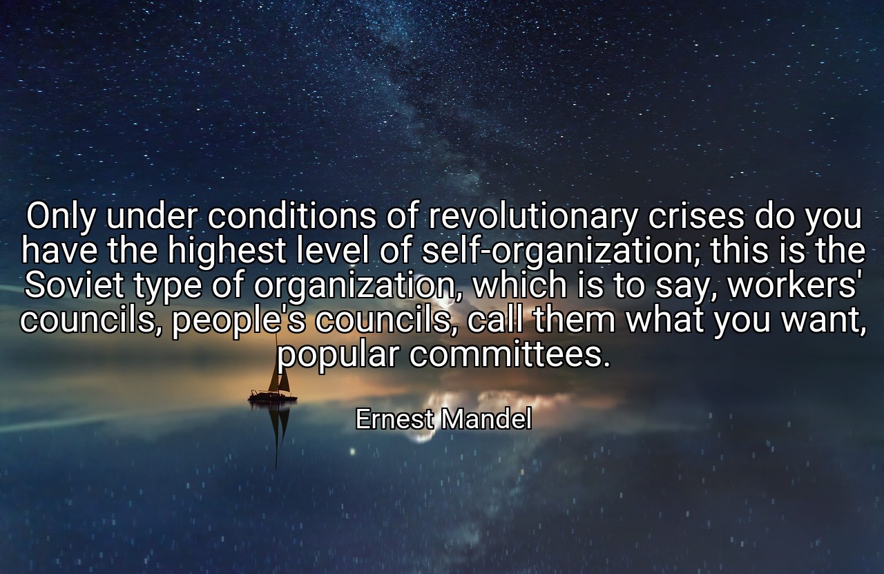 Only under conditions of revolutionary crises do you have the highest level of self-organization; this is the Soviet type of organization, which is to say, workers' councils, people's councils, call them what you want, popular committees. - Ernest Mandel
