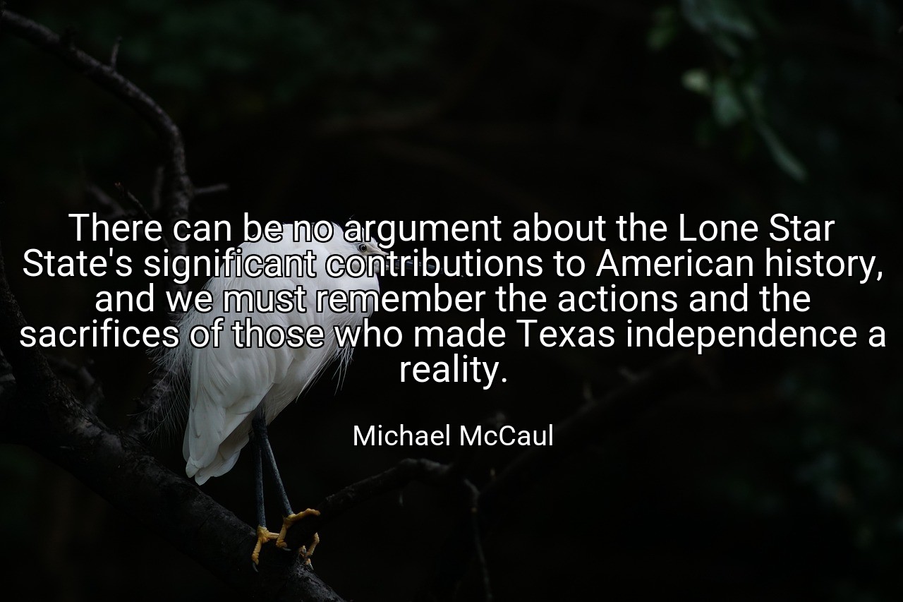 There can be no argument about the Lone Star State's significant contributions to American history, and we must remember the actions and the sacrifices of those who made Texas independence a reality. - Michael McCaul