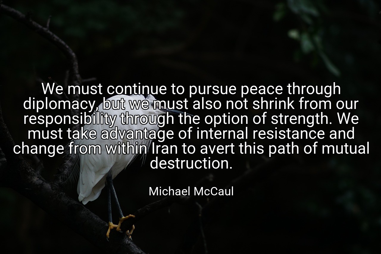 We must continue to pursue peace through diplomacy, but we must also not shrink from our responsibility through the option of strength. We must take advantage of internal resistance and change from within Iran to avert this path of mutual destruction. - Michael McCaul