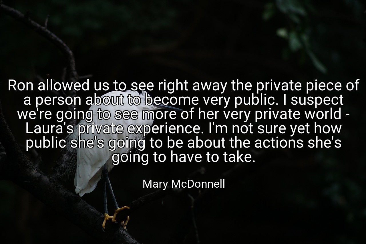 Ron allowed us to see right away the private piece of a person about to become very public. I suspect we're going to see more of her very private world - Laura's private experience. I'm not sure yet how public she's going to be about the actions she's going to have to take. - Mary McDonnell