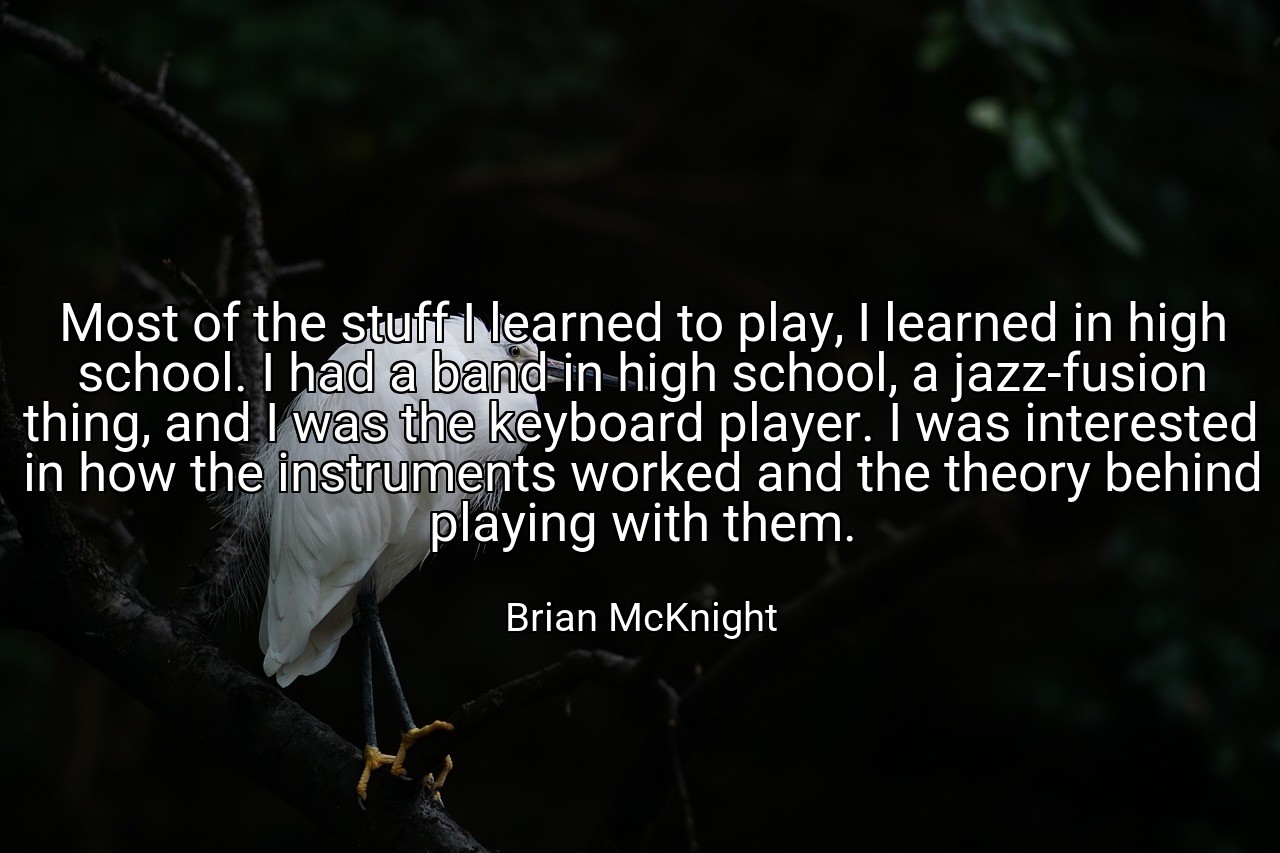 Most of the stuff I learned to play, I learned in high school. I had a band in high school, a jazz-fusion thing, and I was the keyboard player. I was interested in how the instruments worked and the theory behind playing with them. - Brian McKnight