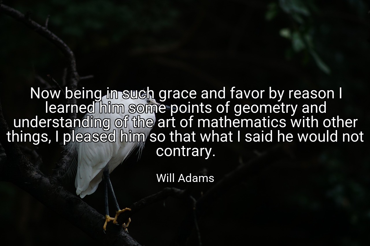 Now being in such grace and favor by reason I learned him some points of geometry and understanding of the art of mathematics with other things, I pleased him so that what I said he would not contrary. - Will Adams