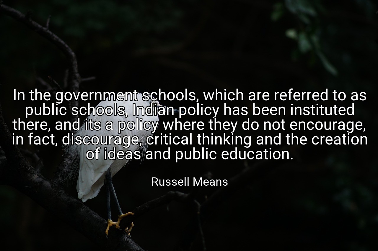 In the government schools, which are referred to as public schools, Indian policy has been instituted there, and its a policy where they do not encourage, in fact, discourage, critical thinking and the creation of ideas and public education. - Russell Means