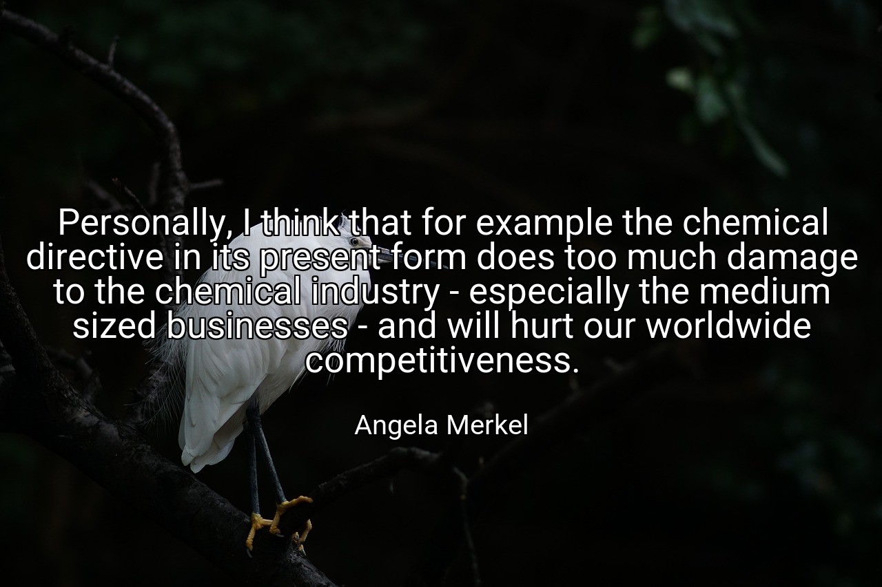 Personally, I think that for example the chemical directive in its present form does too much damage to the chemical industry - especially the medium sized businesses - and will hurt our worldwide competitiveness. - Angela Merkel
