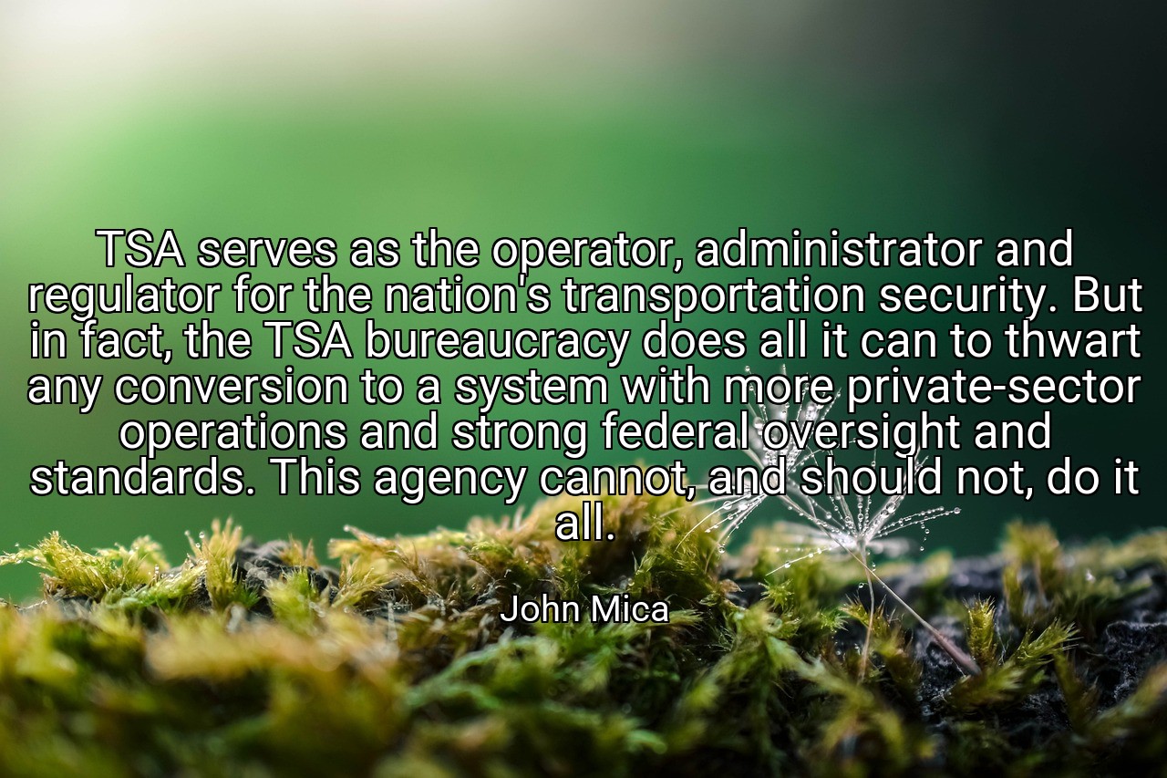 TSA serves as the operator, administrator and regulator for the nation's transportation security. But in fact, the TSA bureaucracy does all it can to thwart any conversion to a system with more private-sector operations and strong federal oversight and standards. This agency cannot, and should not, do it all. - John Mica