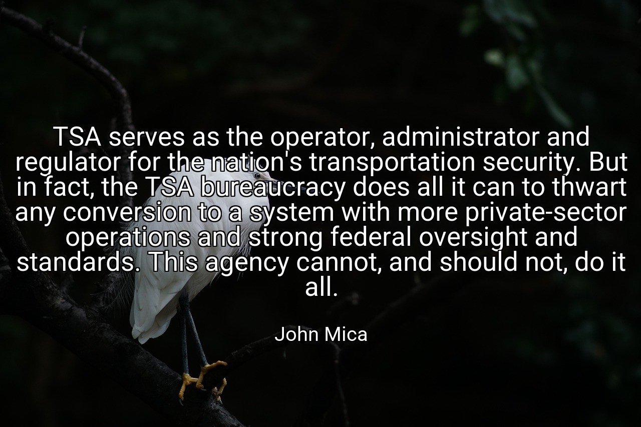 TSA serves as the operator, administrator and regulator for the nation's transportation security. But in fact, the TSA bureaucracy does all it can to thwart any conversion to a system with more private-sector operations and strong federal oversight and standards. This agency cannot, and should not, do it all. - John Mica