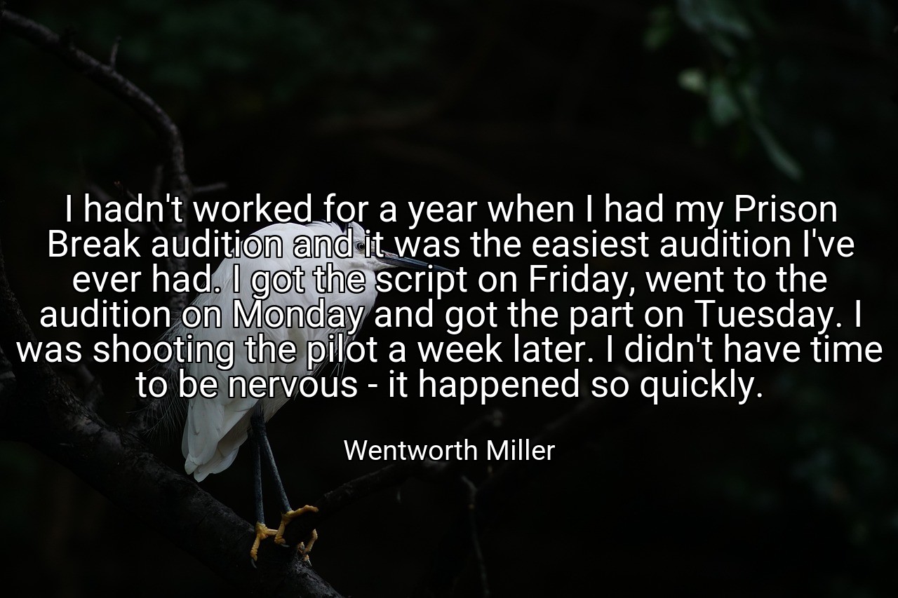 I hadn't worked for a year when I had my Prison Break audition and it was the easiest audition I've ever had. I got the script on Friday, went to the audition on Monday and got the part on Tuesday. I was shooting the pilot a week later. I didn't have time to be nervous - it happened so quickly. - Wentworth Miller
