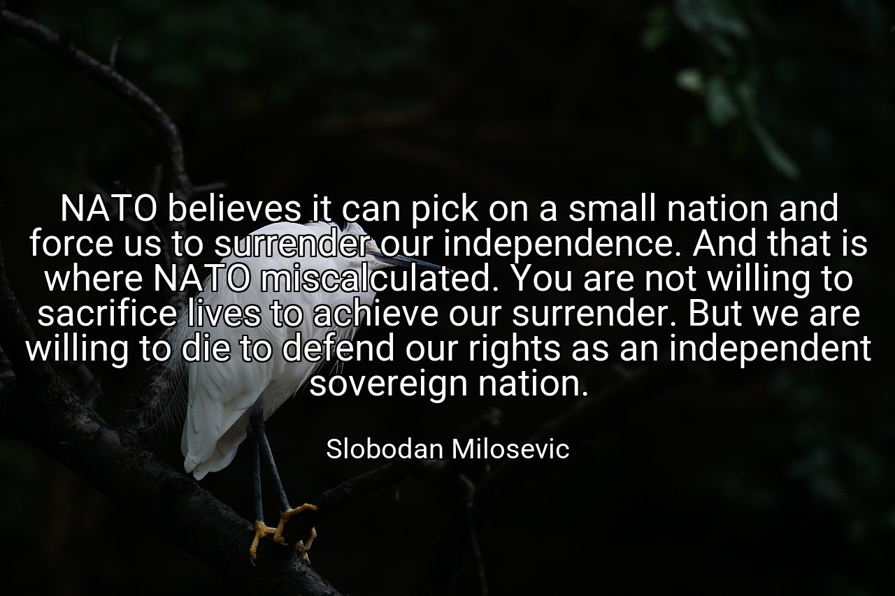 NATO believes it can pick on a small nation and force us to surrender our independence. And that is where NATO miscalculated. You are not willing to sacrifice lives to achieve our surrender. But we are willing to die to defend our rights as an independent sovereign nation. - Slobodan Milosevic