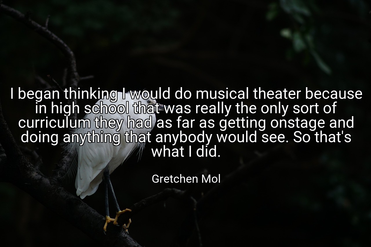 I began thinking I would do musical theater because in high school that was really the only sort of curriculum they had as far as getting onstage and doing anything that anybody would see. So that's what I did. - Gretchen Mol