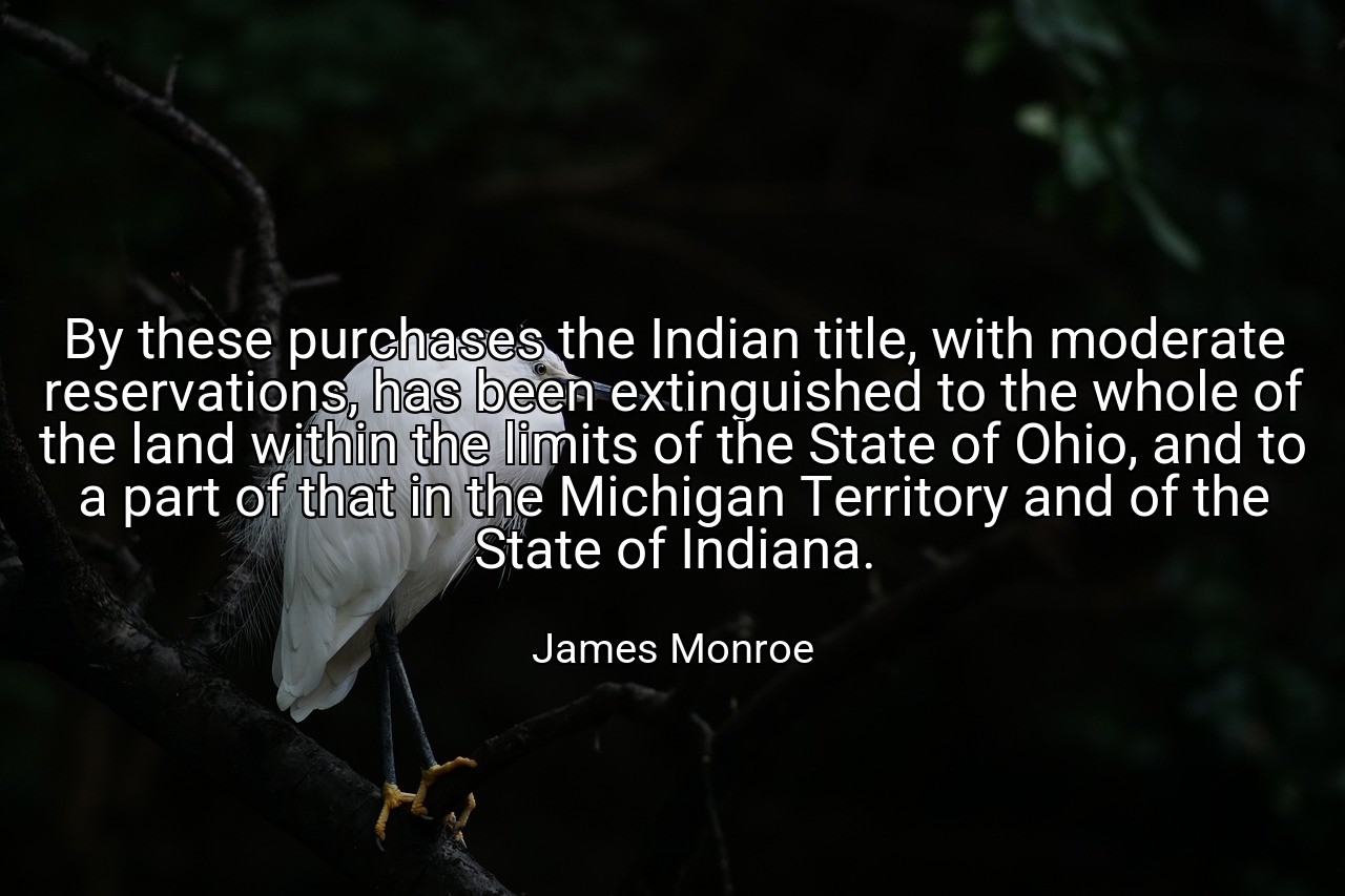 By these purchases the Indian title, with moderate reservations, has been extinguished to the whole of the land within the limits of the State of Ohio, and to a part of that in the Michigan Territory and of the State of Indiana. - James Monroe