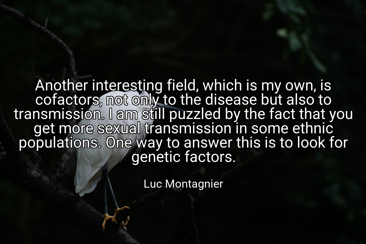 Another interesting field, which is my own, is cofactors, not only to the disease but also to transmission. I am still puzzled by the fact that you get more sexual transmission in some ethnic populations. One way to answer this is to look for genetic factors. - Luc Montagnier