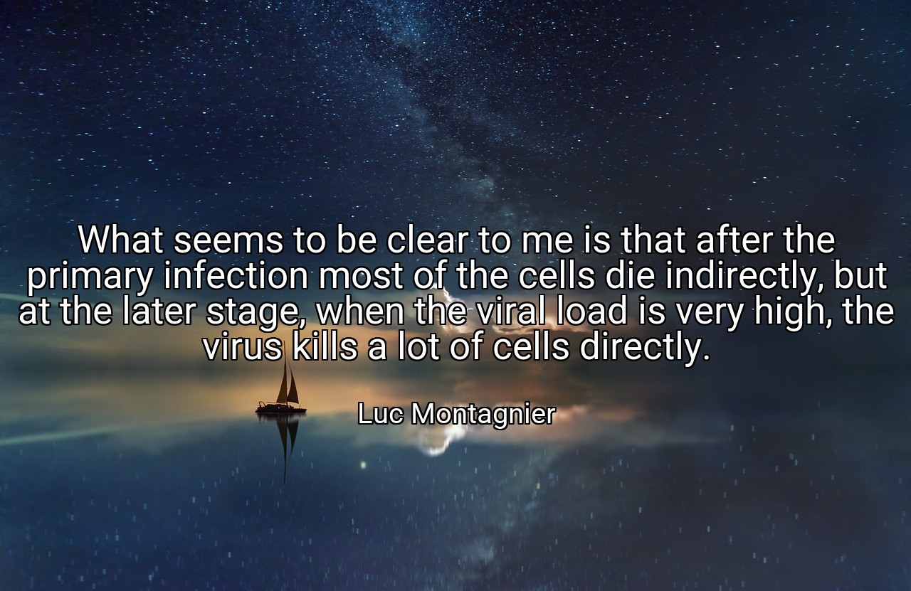 What seems to be clear to me is that after the primary infection most of the cells die indirectly, but at the later stage, when the viral load is very high, the virus kills a lot of cells directly. - Luc Montagnier