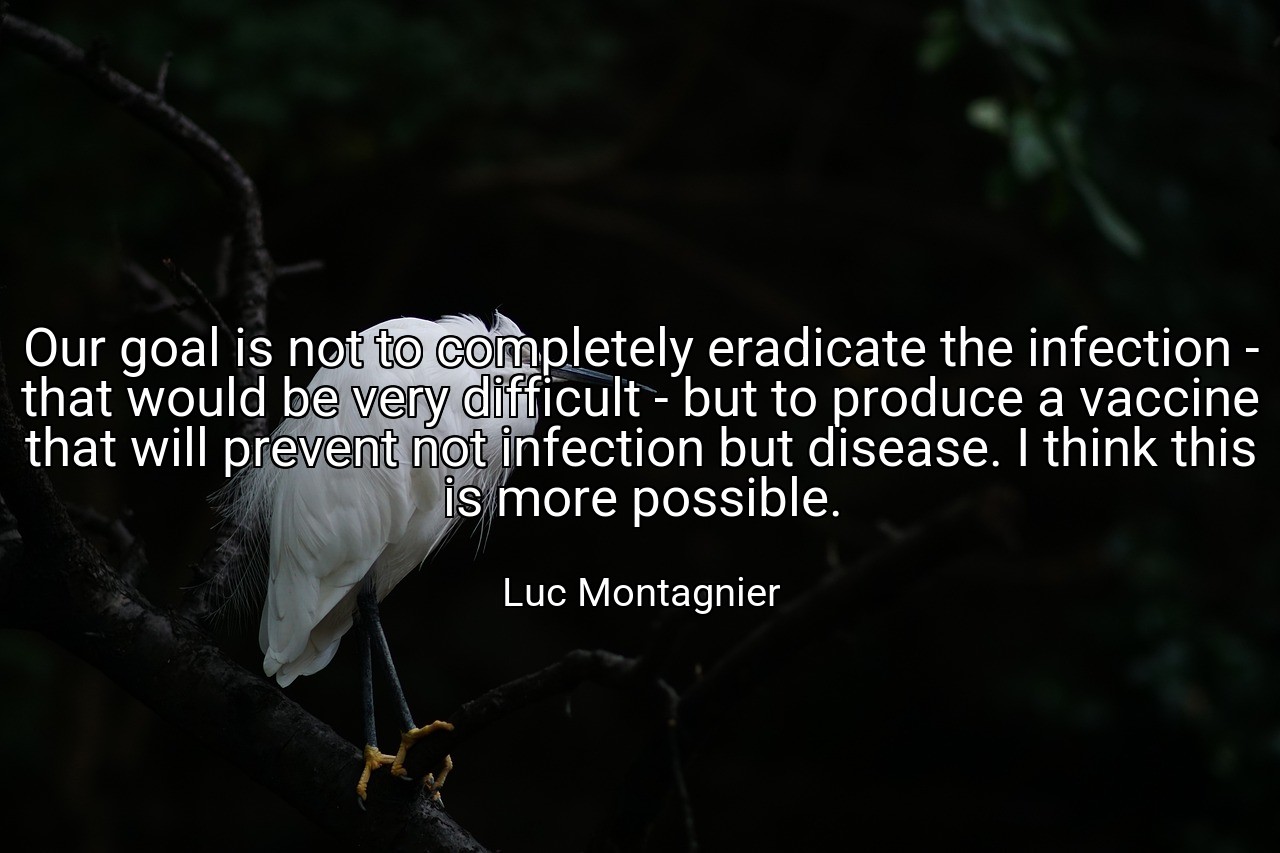 Our goal is not to completely eradicate the infection - that would be very difficult - but to produce a vaccine that will prevent not infection but disease. I think this is more possible. - Luc Montagnier