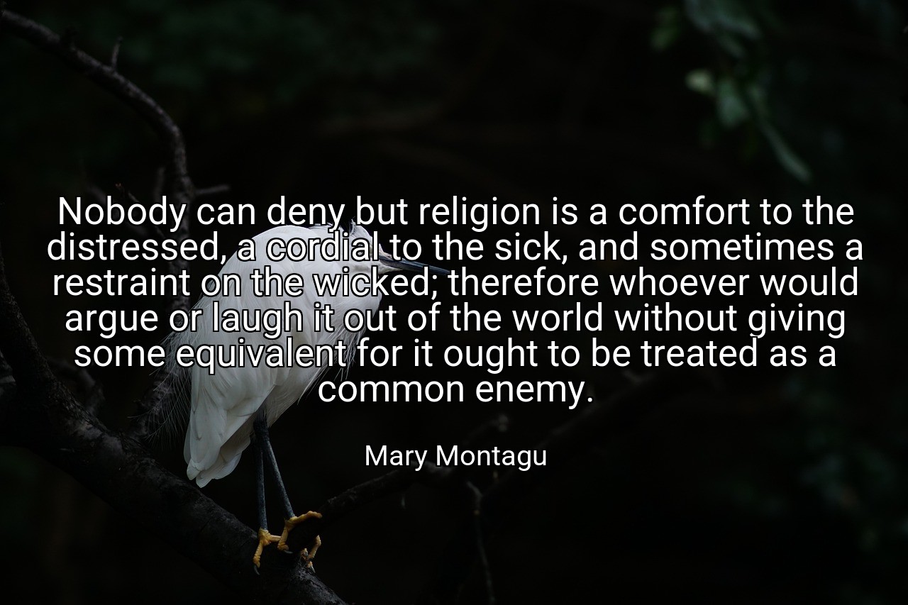 Nobody can deny but religion is a comfort to the distressed, a cordial to the sick, and sometimes a restraint on the wicked; therefore whoever would argue or laugh it out of the world without giving some equivalent for it ought to be treated as a common enemy. - Mary Montagu