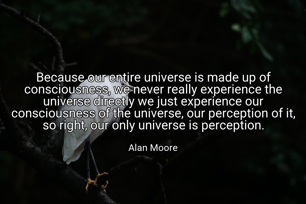 Because our entire universe is made up of consciousness, we never really experience the universe directly we just experience our consciousness of the universe, our perception of it, so right, our only universe is perception. - Alan Moore