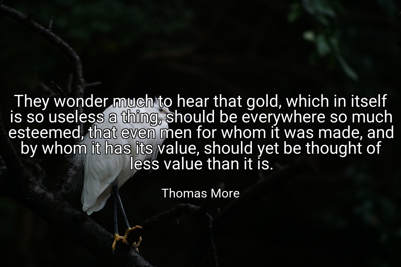 They wonder much to hear that gold, which in itself is so useless a thing, should be everywhere so much esteemed, that even men for whom it was made, and by whom it has its value, should yet be thought of less value than it is. - Thomas More