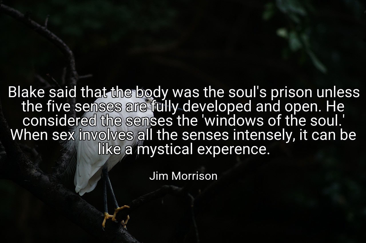 Blake said that the body was the soul's prison unless the five senses are fully developed and open. He considered the senses the 'windows of the soul.' When sex involves all the senses intensely, it can be like a mystical experence. - Jim Morrison