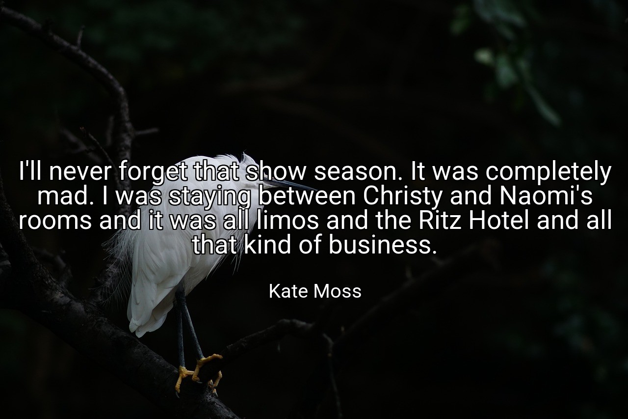 I'll never forget that show season. It was completely mad. I was staying between Christy and Naomi's rooms and it was all limos and the Ritz Hotel and all that kind of business. - Kate Moss