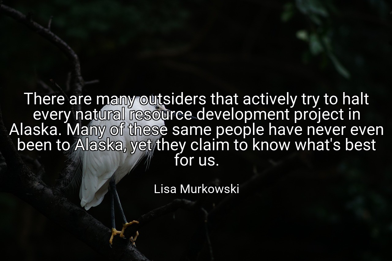 There are many outsiders that actively try to halt every natural resource development project in Alaska. Many of these same people have never even been to Alaska, yet they claim to know what's best for us. - Lisa Murkowski