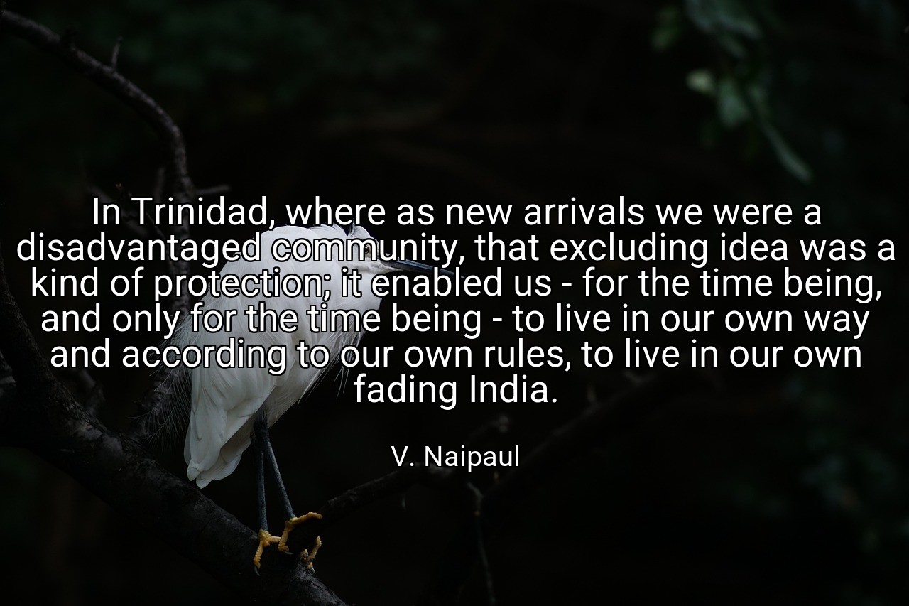 In Trinidad, where as new arrivals we were a disadvantaged community, that excluding idea was a kind of protection; it enabled us - for the time being, and only for the time being - to live in our own way and according to our own rules, to live in our own fading India. - V. Naipaul