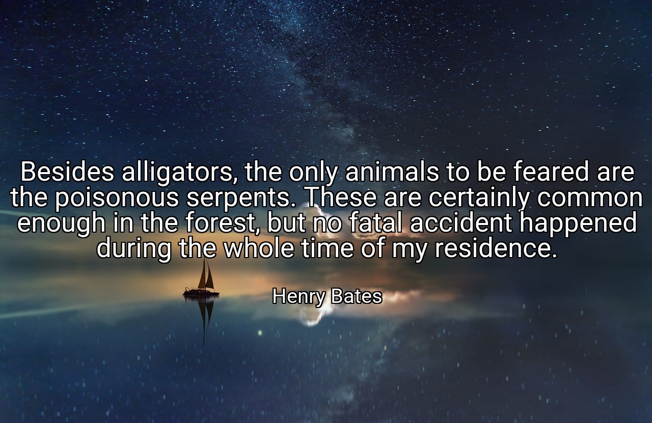 Besides alligators, the only animals to be feared are the poisonous serpents. These are certainly common enough in the forest, but no fatal accident happened during the whole time of my residence. - Henry Bates