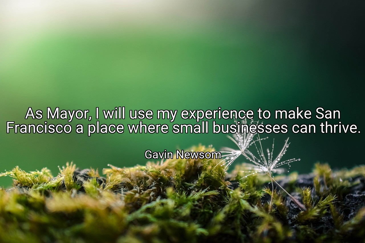As Mayor, I will use my experience to make San Francisco a place where small businesses can thrive. - Gavin Newsom