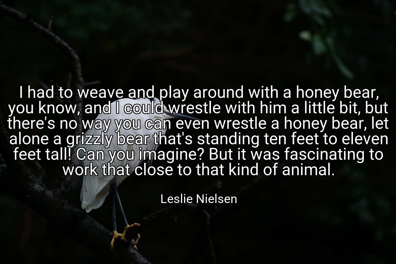 I had to weave and play around with a honey bear, you know, and I could wrestle with him a little bit, but there's no way you can even wrestle a honey bear, let alone a grizzly bear that's standing ten feet to eleven feet tall! Can you imagine? But it was fascinating to work that close to that kind of animal. - Leslie Nielsen