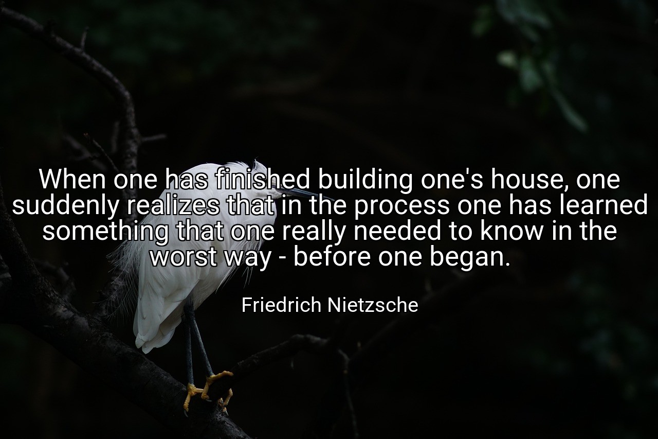 When one has finished building one's house, one suddenly realizes that in the process one has learned something that one really needed to know in the worst way - before one began. - Friedrich Nietzsche