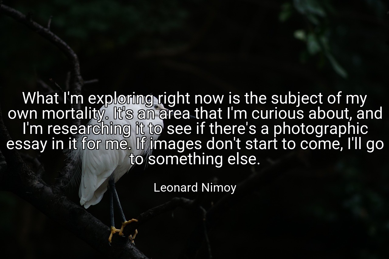 What I'm exploring right now is the subject of my own mortality. It's an area that I'm curious about, and I'm researching it to see if there's a photographic essay in it for me. If images don't start to come, I'll go to something else. - Leonard Nimoy