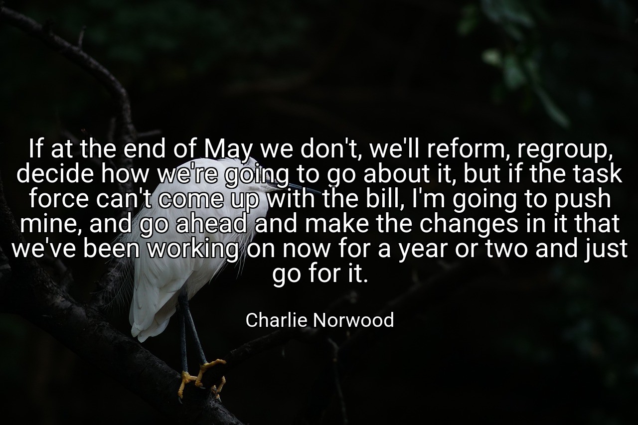 If at the end of May we don't, we'll reform, regroup, decide how we're going to go about it, but if the task force can't come up with the bill, I'm going to push mine, and go ahead and make the changes in it that we've been working on now for a year or two and just go for it. - Charlie Norwood