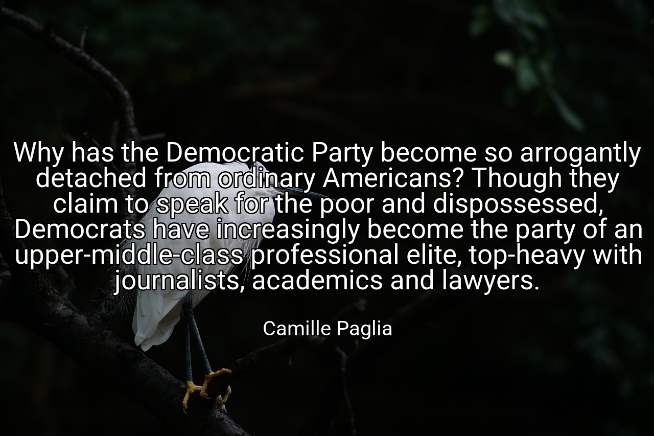 Why has the Democratic Party become so arrogantly detached from ordinary Americans? Though they claim to speak for the poor and dispossessed, Democrats have increasingly become the party of an upper-middle-class professional elite, top-heavy with journalists, academics and lawyers. - Camille Paglia