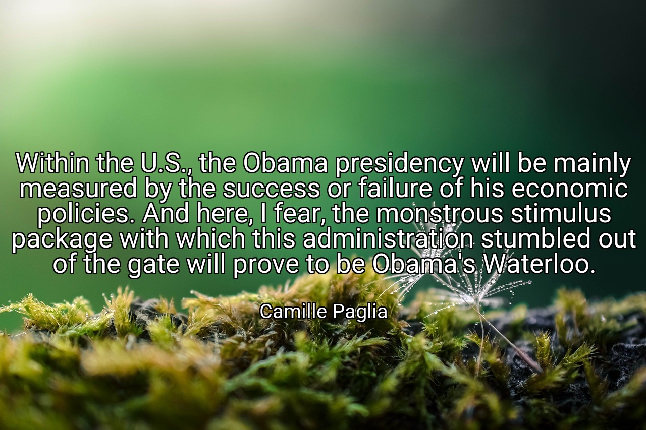 Within the U.S., the Obama presidency will be mainly measured by the success or failure of his economic policies. And here, I fear, the monstrous stimulus package with which this administration stumbled out of the gate will prove to be Obama's Waterloo. - Camille Paglia