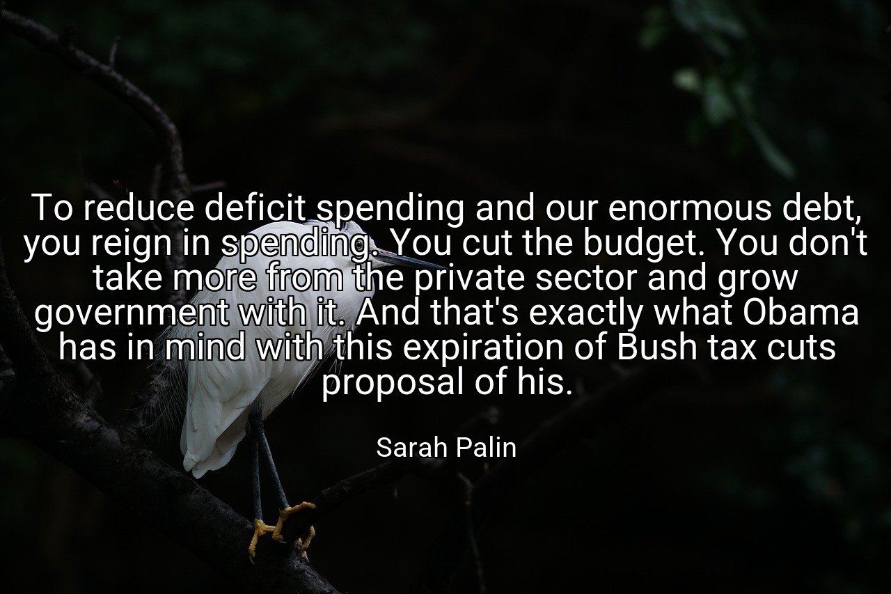 To reduce deficit spending and our enormous debt, you reign in spending. You cut the budget. You don't take more from the private sector and grow government with it. And that's exactly what Obama has in mind with this expiration of Bush tax cuts proposal of his. - Sarah Palin