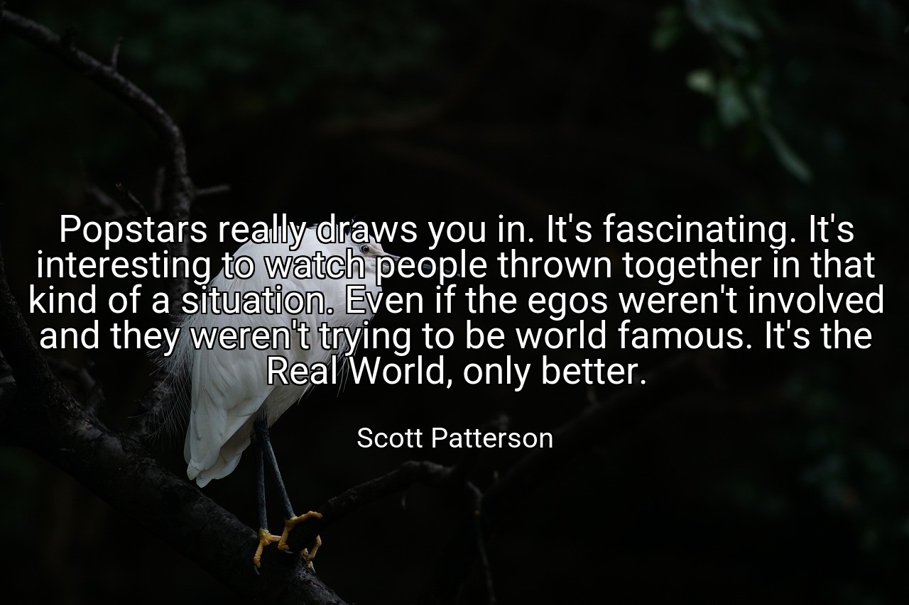 Popstars really draws you in. It's fascinating. It's interesting to watch people thrown together in that kind of a situation. Even if the egos weren't involved and they weren't trying to be world famous. It's the Real World, only better. - Scott Patterson