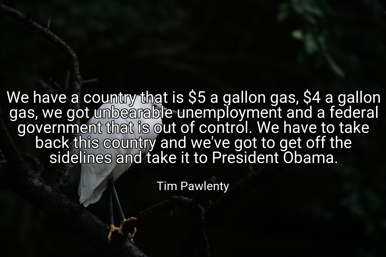 We have a country that is $5 a gallon gas, $4 a gallon gas, we got unbearable unemployment and a federal government that is out of control. We have to take back this country and we've got to get off the sidelines and take it to President Obama. - Tim Pawlenty