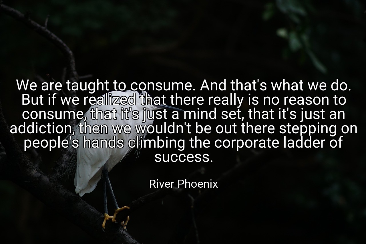 We are taught to consume. And that's what we do. But if we realized that there really is no reason to consume, that it's just a mind set, that it's just an addiction, then we wouldn't be out there stepping on people's hands climbing the corporate ladder of success. - River Phoenix