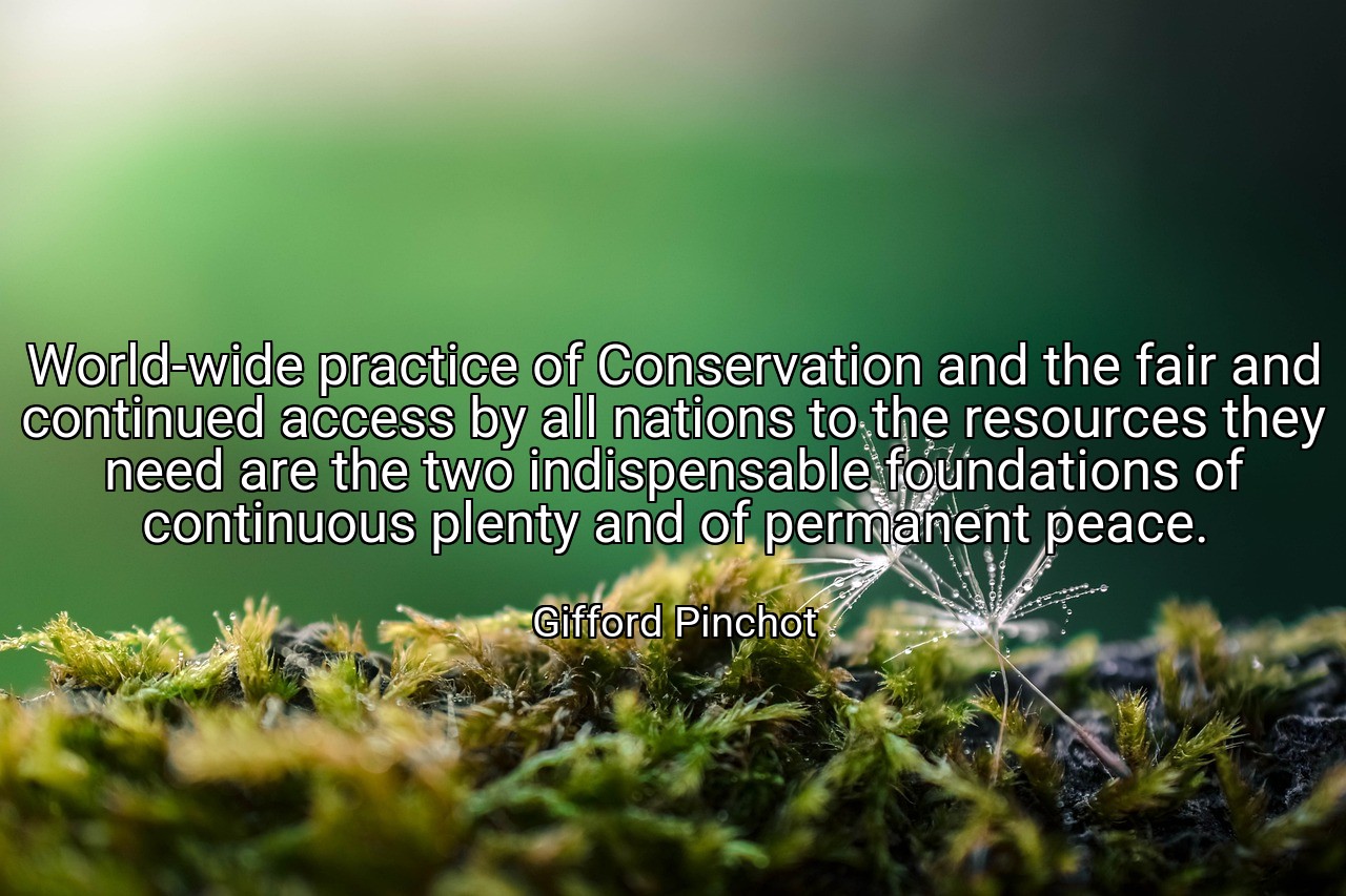 World-wide practice of Conservation and the fair and continued access by all nations to the resources they need are the two indispensable foundations of continuous plenty and of permanent peace. - Gifford Pinchot