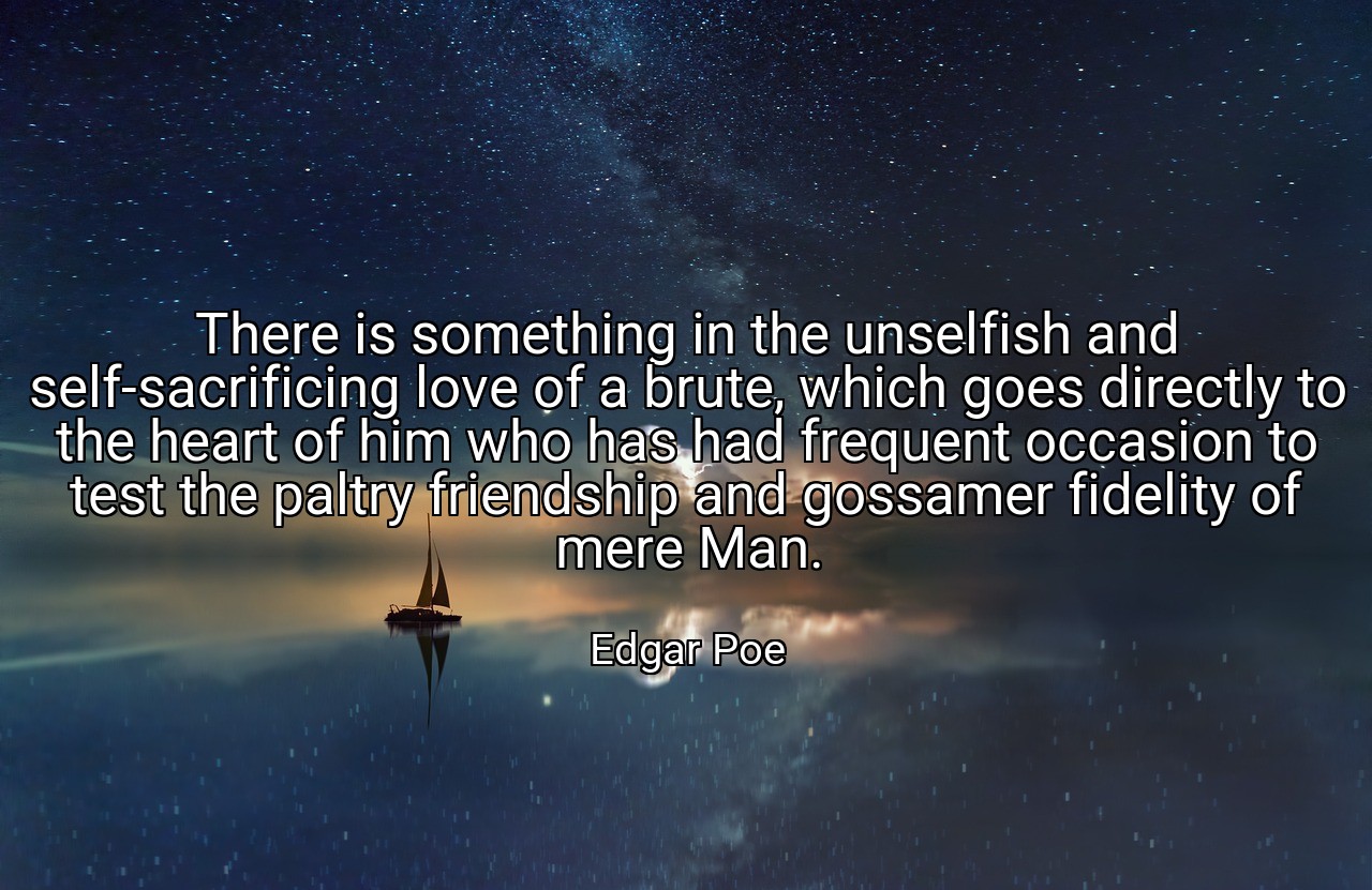 There is something in the unselfish and self-sacrificing love of a brute, which goes directly to the heart of him who has had frequent occasion to test the paltry friendship and gossamer fidelity of mere Man. - Edgar Poe