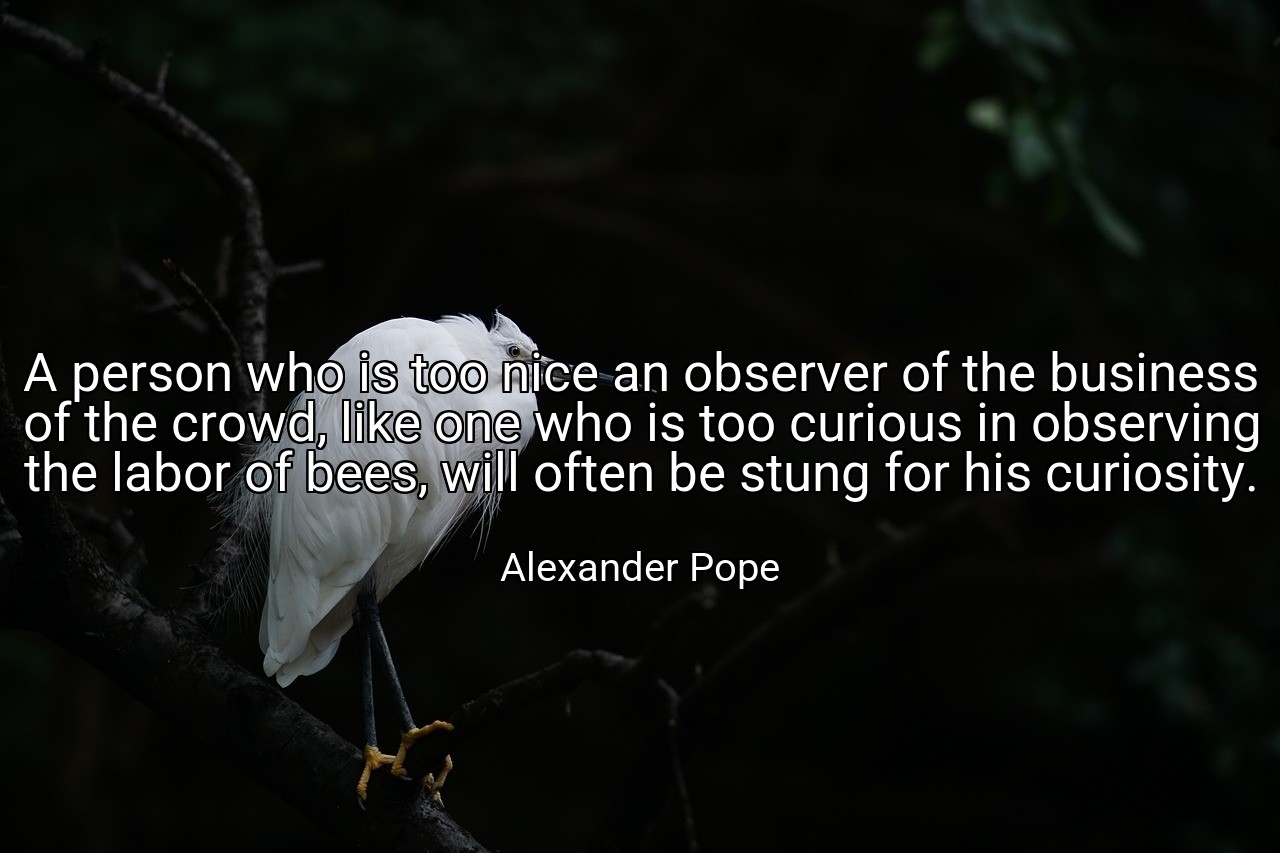 A person who is too nice an observer of the business of the crowd, like one who is too curious in observing the labor of bees, will often be stung for his curiosity. - Alexander Pope