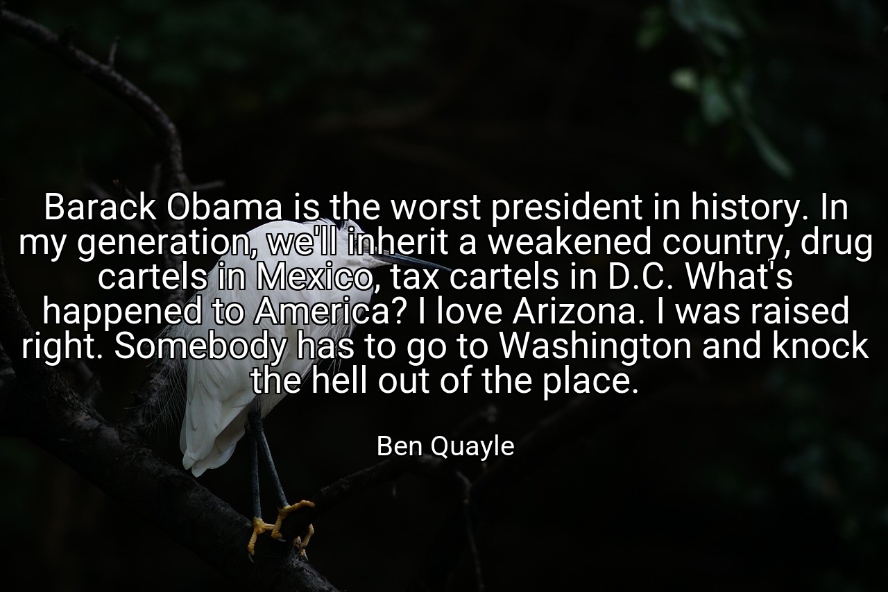 Barack Obama is the worst president in history. In my generation, we'll inherit a weakened country, drug cartels in Mexico, tax cartels in D.C. What's happened to America? I love Arizona. I was raised right. Somebody has to go to Washington and knock the hell out of the place. - Ben Quayle