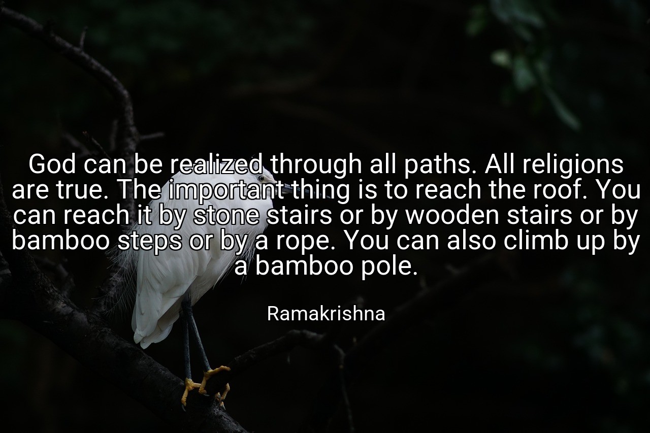 God can be realized through all paths. All religions are true. The important thing is to reach the roof. You can reach it by stone stairs or by wooden stairs or by bamboo steps or by a rope. You can also climb up by a bamboo pole. - Ramakrishna