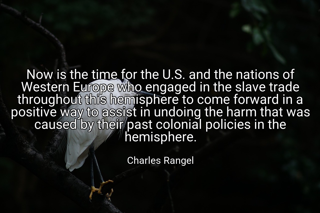 Now is the time for the U.S. and the nations of Western Europe who engaged in the slave trade throughout this hemisphere to come forward in a positive way to assist in undoing the harm that was caused by their past colonial policies in the hemisphere. - Charles Rangel