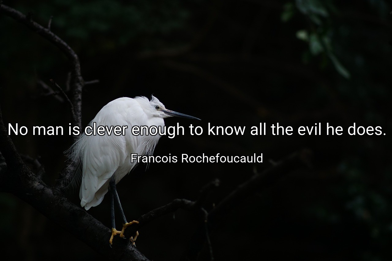 No man is clever enough to know all the evil he does. - Francois Rochefoucauld